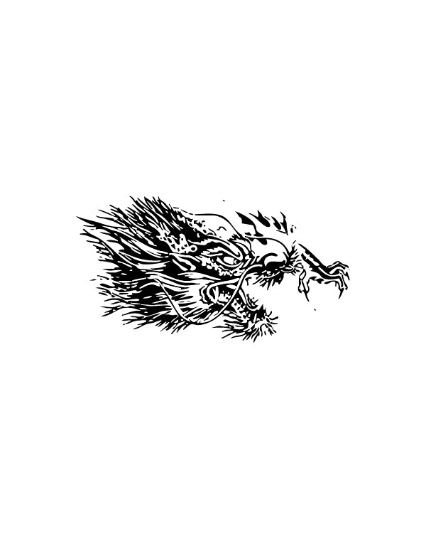 Dragon Rage - TEMPOINK Temporary Tattoo